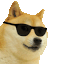 :cooldoggo: