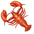 :lobster: