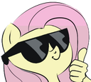 :pony_flutterthumb: