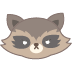:rocketracoon: